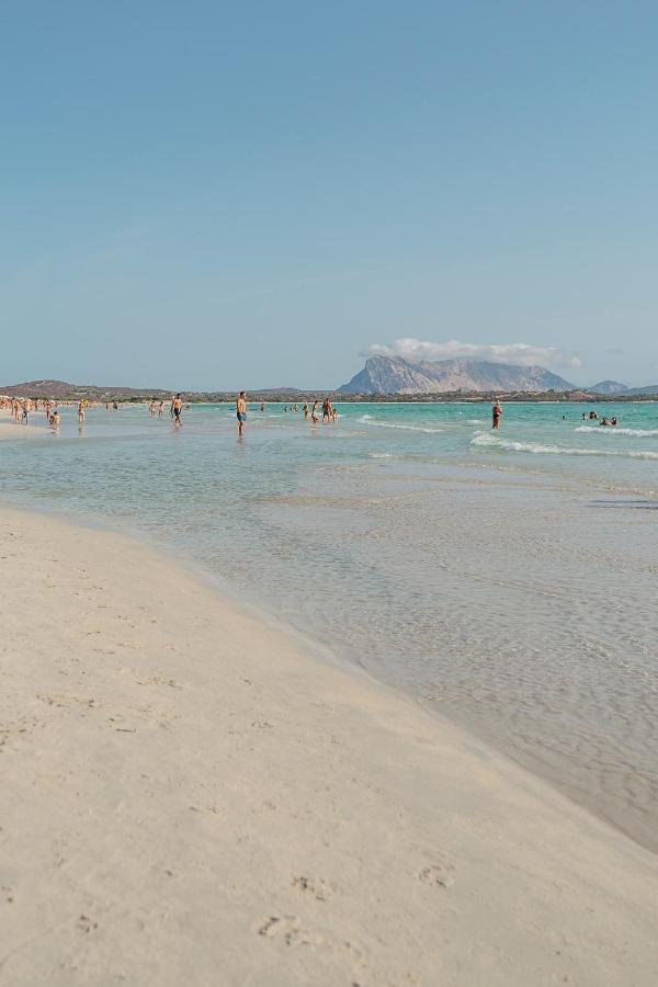 Amareclub Le Rose Hotel San Teodoro  Kültér fotó